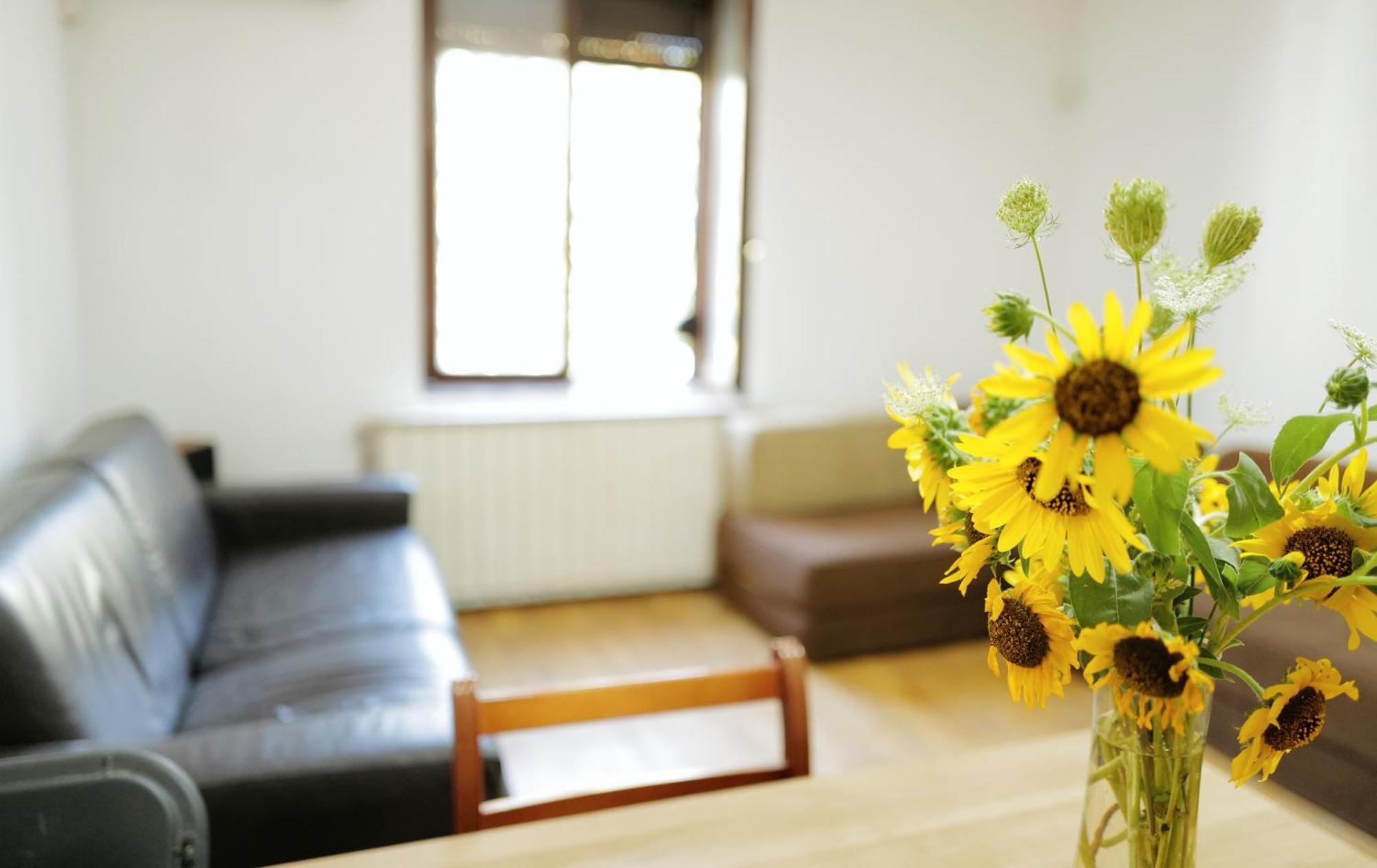Happy Cat Old Town Hostel เบลเกรด ภายนอก รูปภาพ