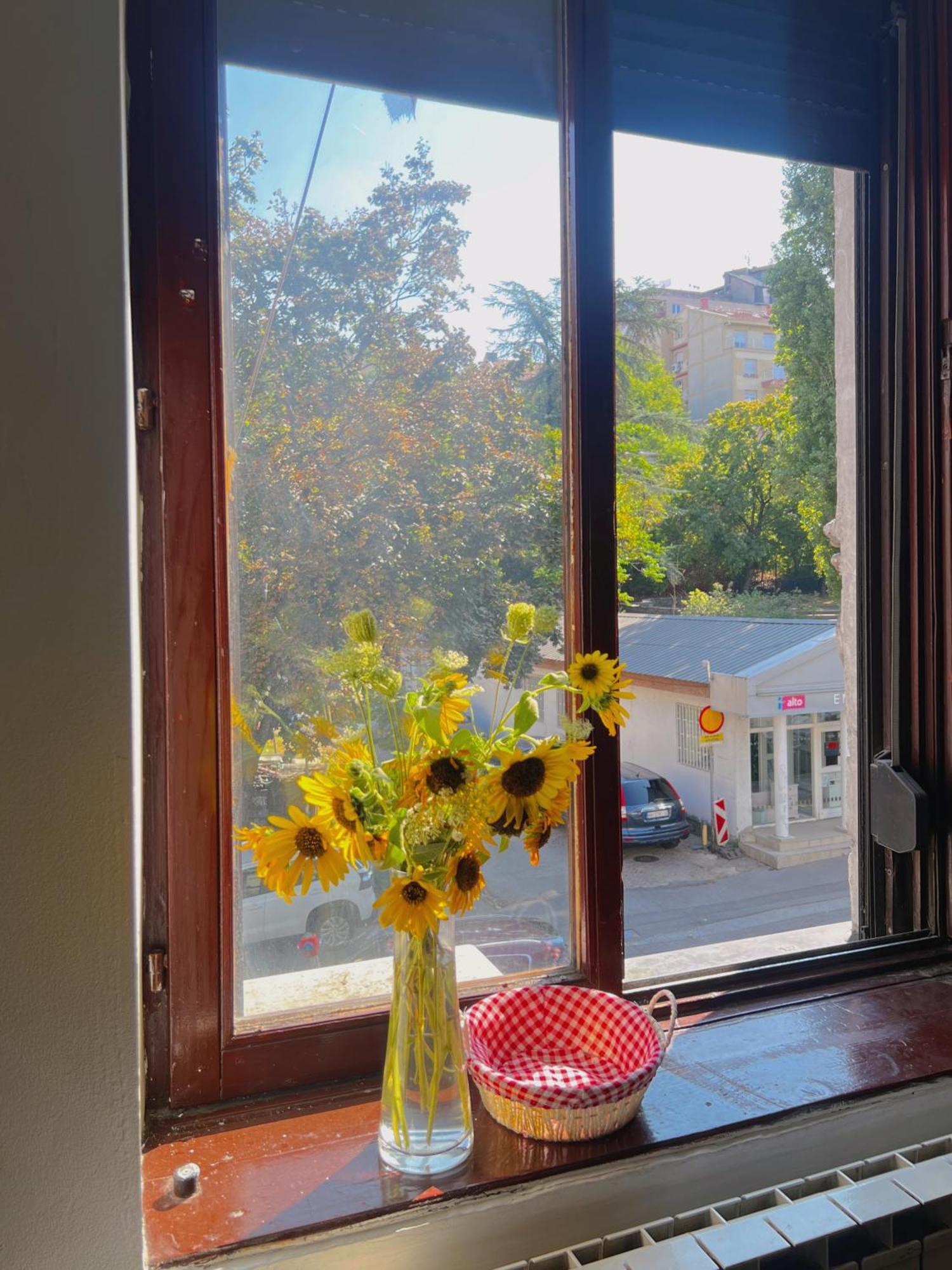 Happy Cat Old Town Hostel เบลเกรด ภายนอก รูปภาพ